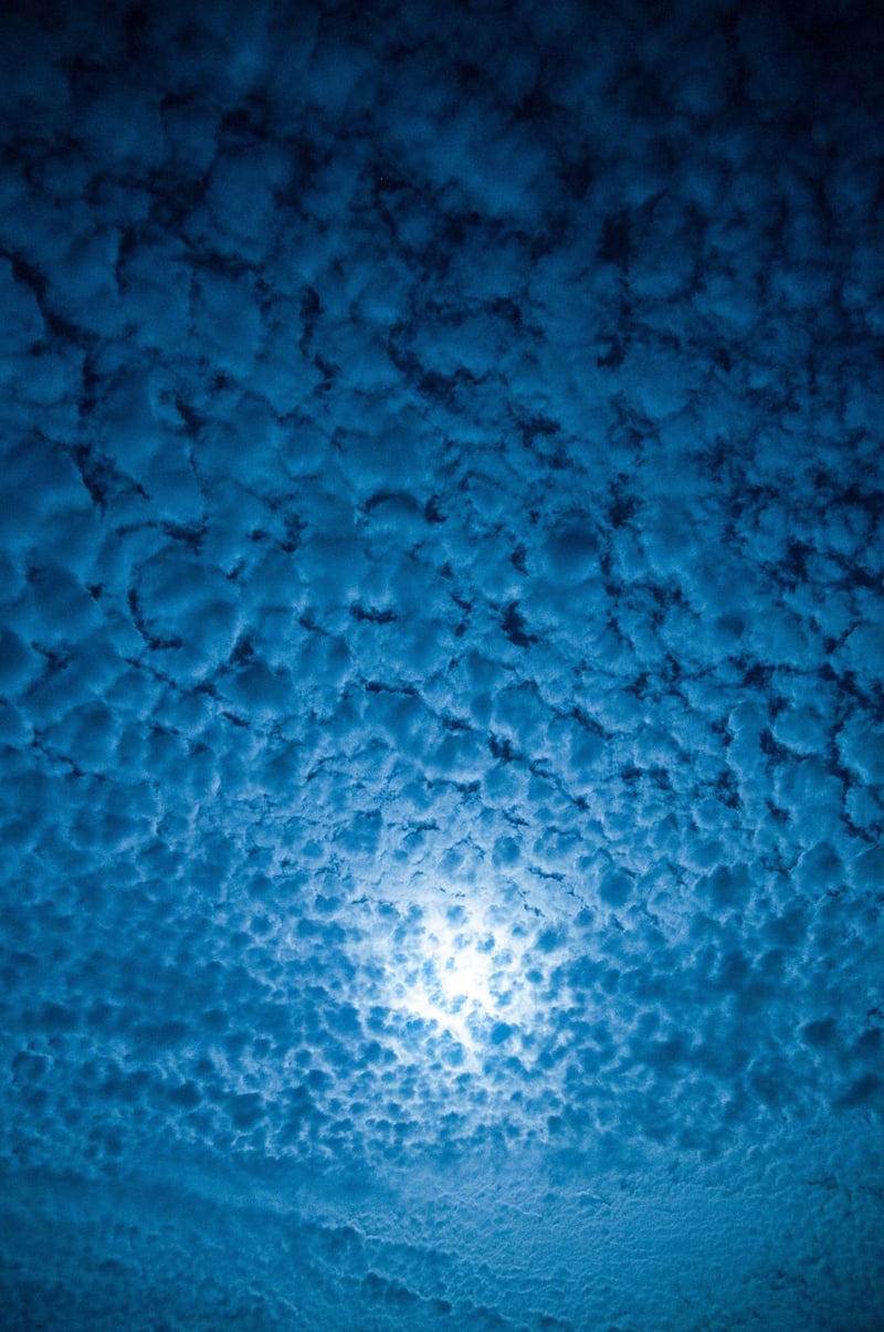 Moonlit Desserts